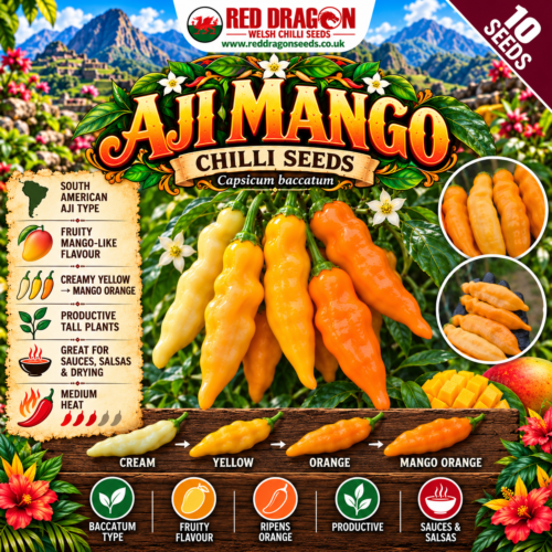 Aji Mango Chilli Seeds