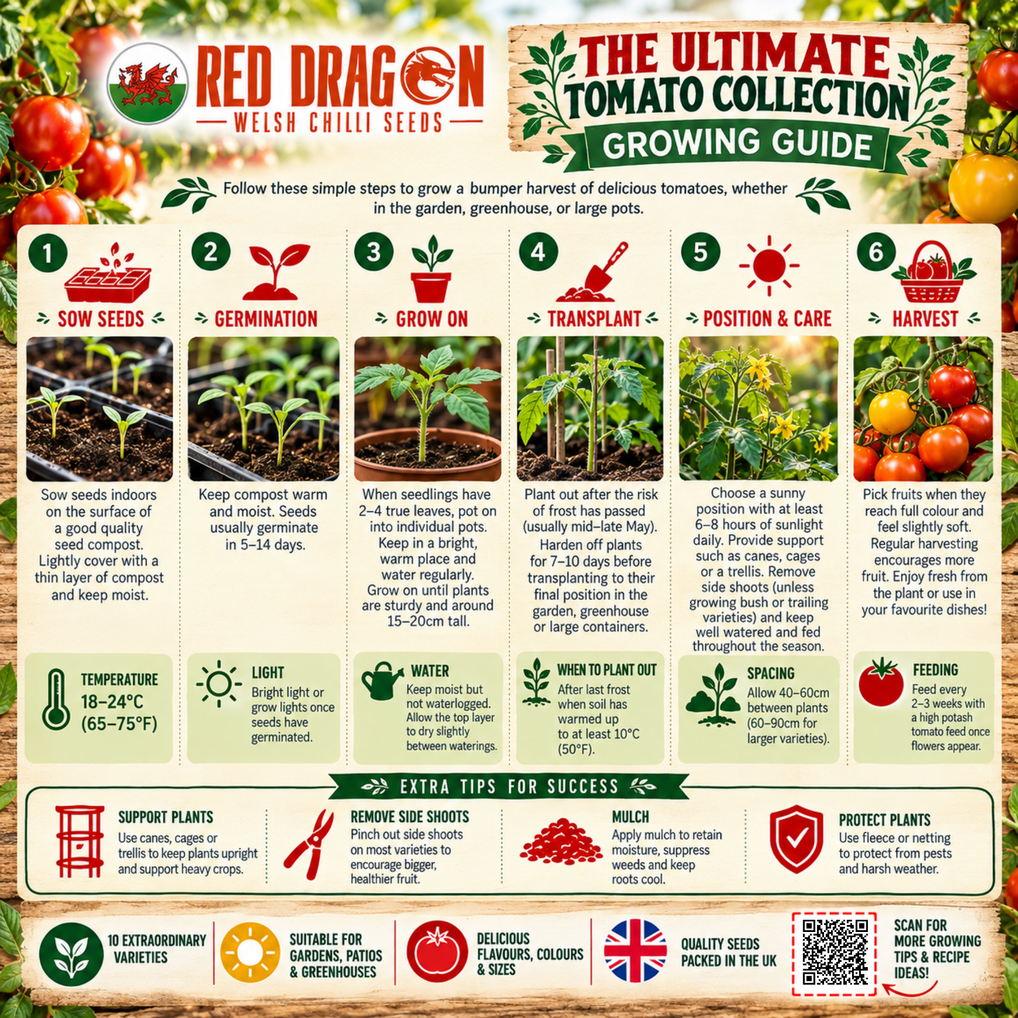 Ultimate Tomato Seed Collection – 10 Extraordinary Varieties - Image 4