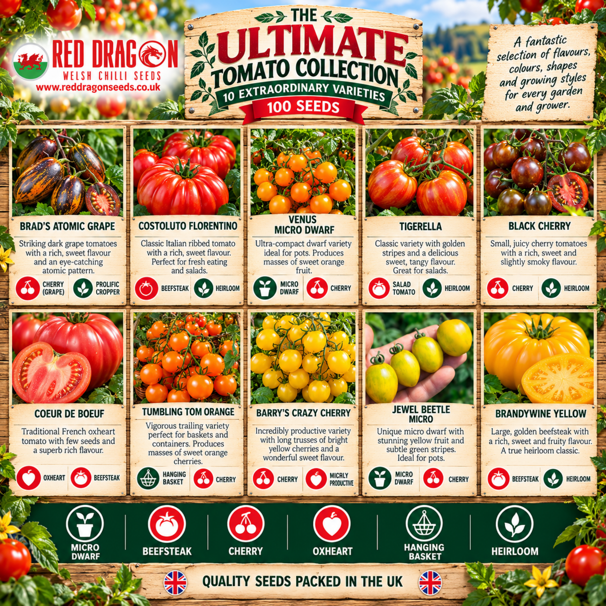 Ultimate Tomato Seed Collection – 10 Extraordinary Varieties - Image 5
