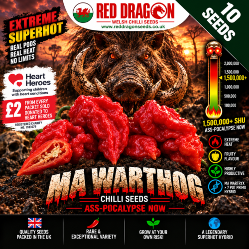MA Warthog Chilli Seeds