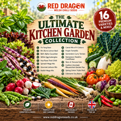 The Ultimate Kitchen Garden Collection – 16 Seed Varieties & Mixes