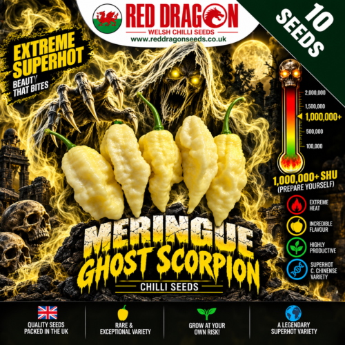 Meringue Ghost Scorpion Chilli Seeds