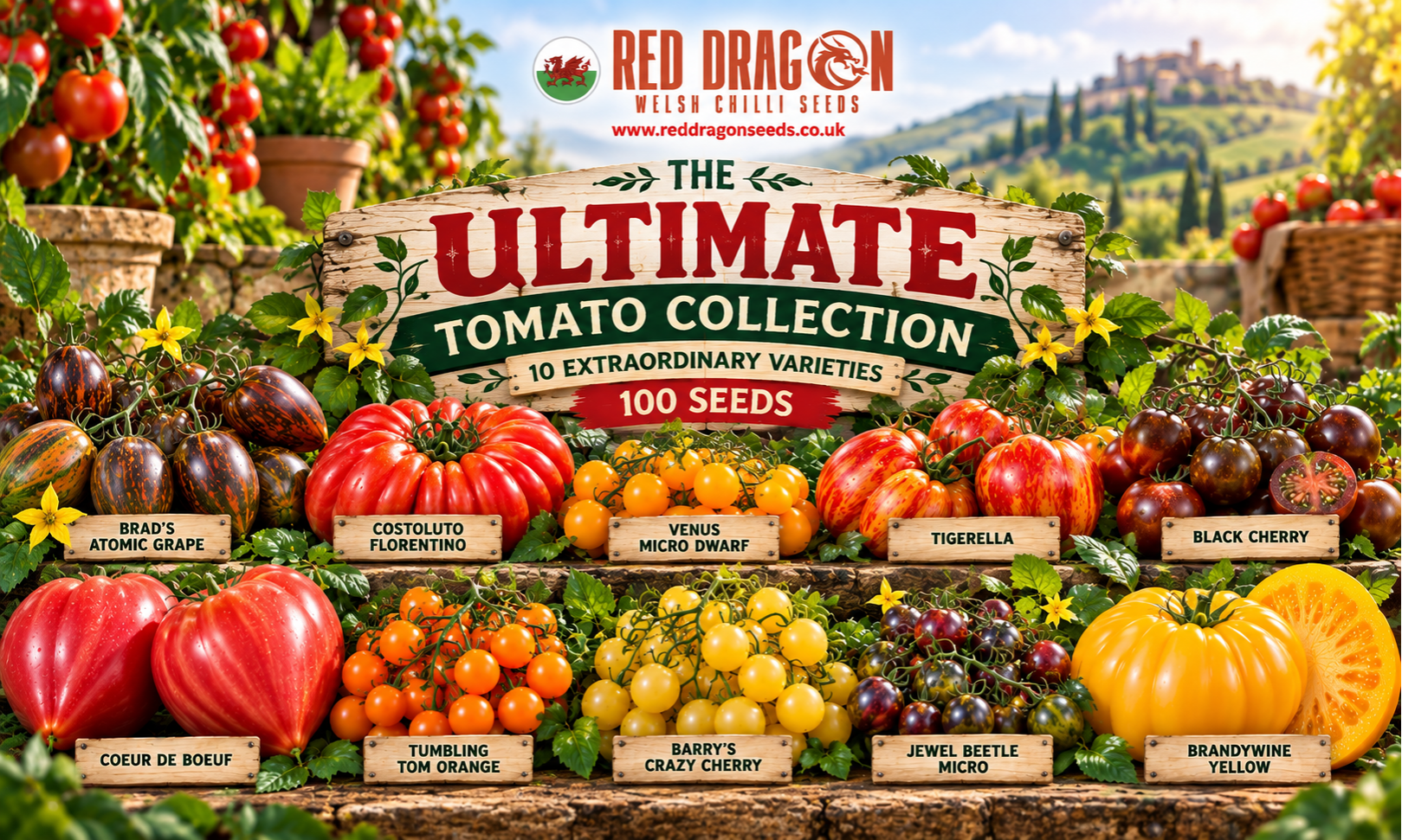 Ultimate Tomato Seed Collection – 10 Extraordinary Varieties - Image 2