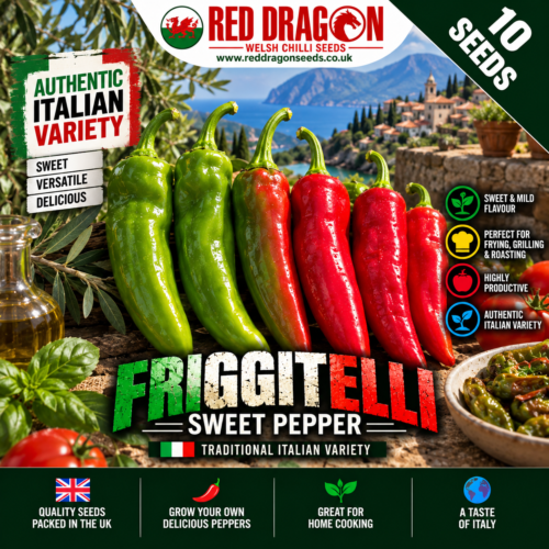 Friggitelli Pepper Seeds