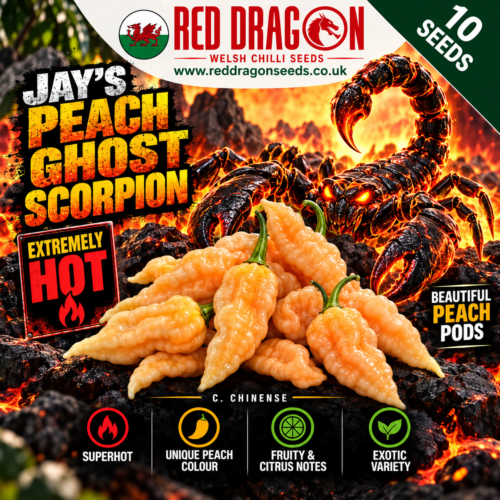 Jays Peach Ghost Scorpion Chilli Seeds