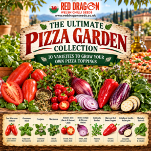 The Ultimate Pizza Garden Collection – 10 Varieties | 1,050 Seeds