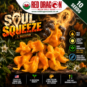 Soul Squeeze Pepper Seeds