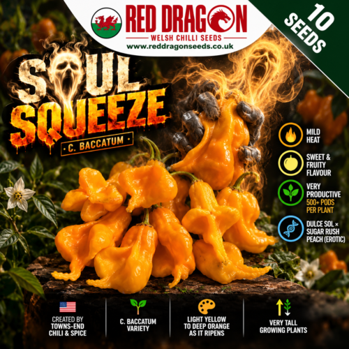 Soul Squeeze Pepper Seeds
