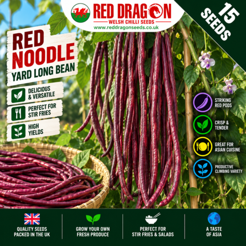 Red Noodle Yard Long Bean Seeds