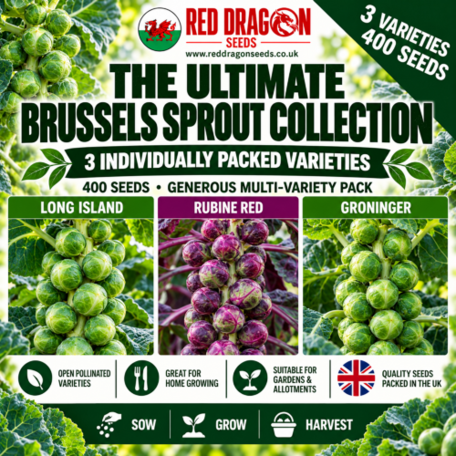 The Ultimate Brussels Sprout Collection – 3 Varieties | 400 Seeds
