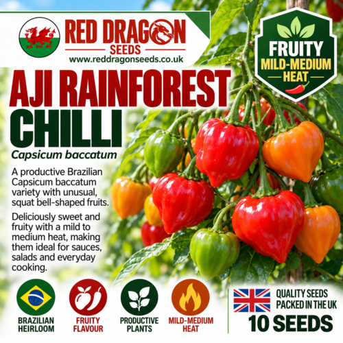 Aji Rainforest Chilli Seeds