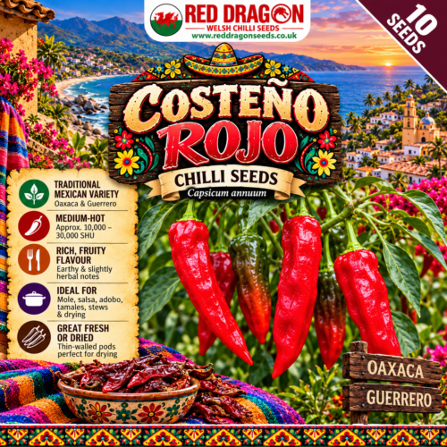 Costeño Rojo Chilli Seeds