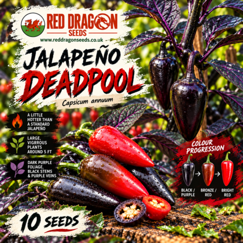 Jalapeño Deadpool Seed Packet