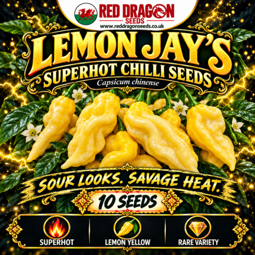 Lemon Jay's Chilli Seeds