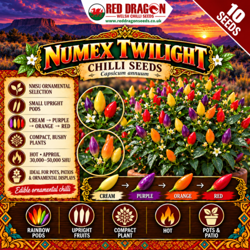 Numex Twilight Chilli Seeds
