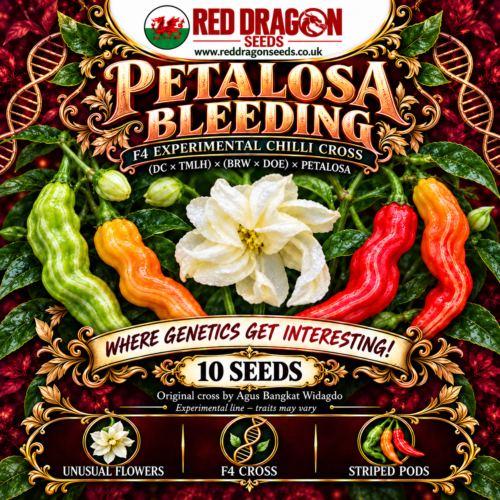 Petalosa Bleeding F4 Experimental Chilli Seeds