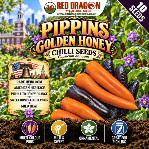Pippin’s Golden Honey Seeds