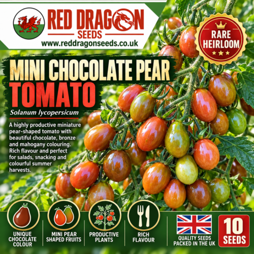 Mini Chocolate Pear Tomato Seeds