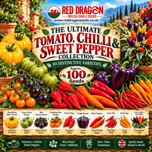 The Ultimate Tomato, Chilli & Sweet Pepper Collection