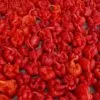 Carolina Reaper Chilli Seeds