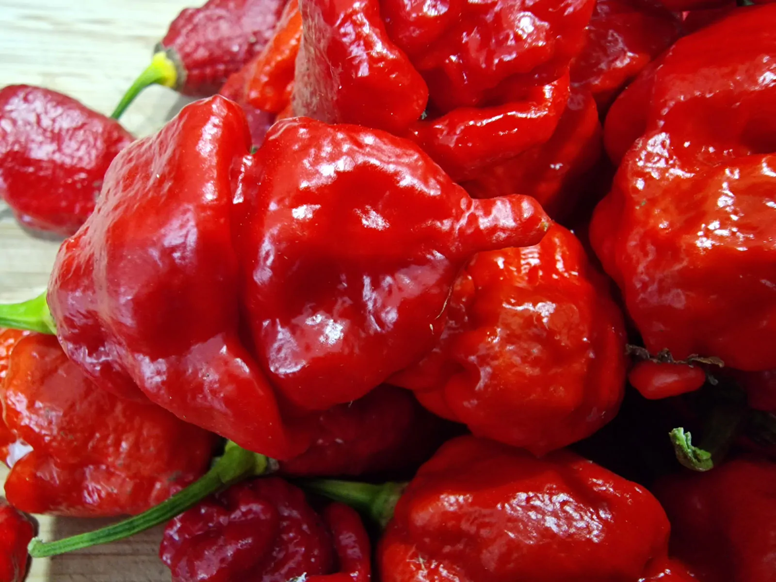 Apocalypse Red Chilli Seeds - Image 5