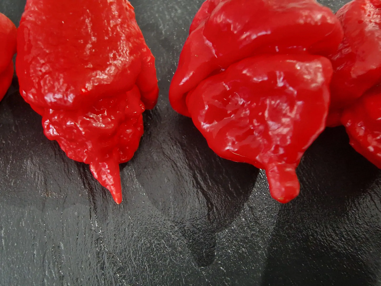 Apocalypse Red Chilli Seeds - Image 8