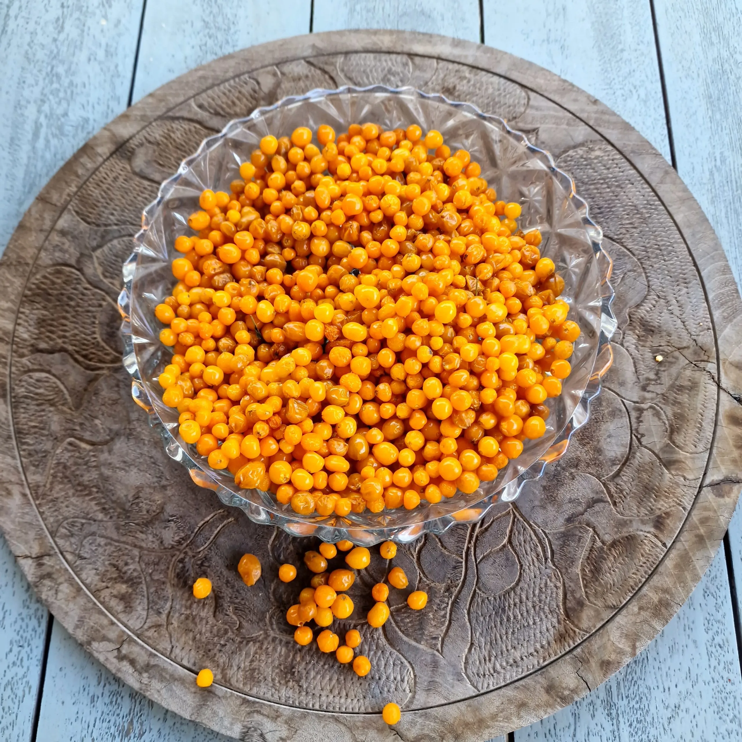 Aji Charapita Chilli Seeds - Image 4