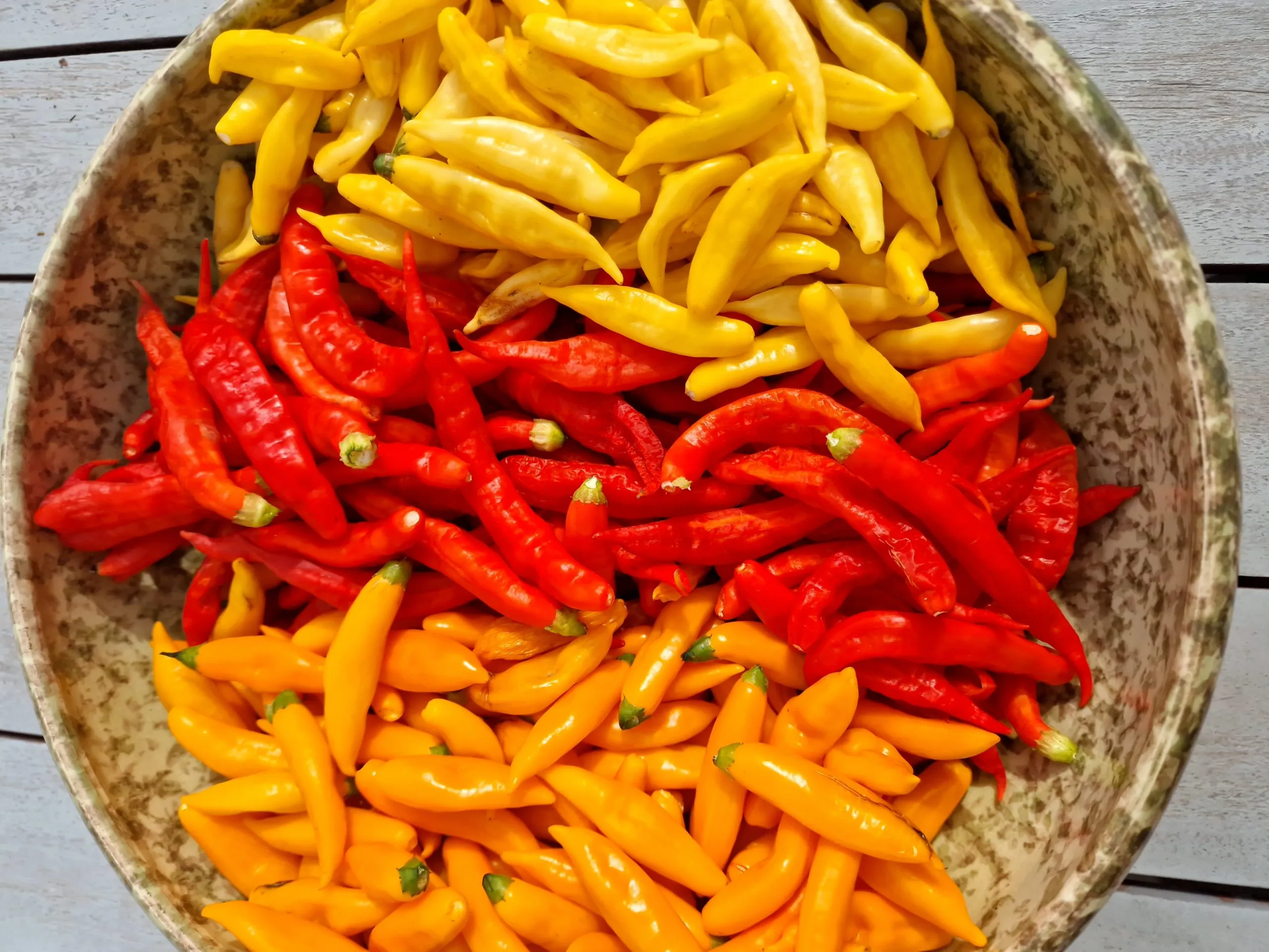 Aji Lemon Drop - Image 4