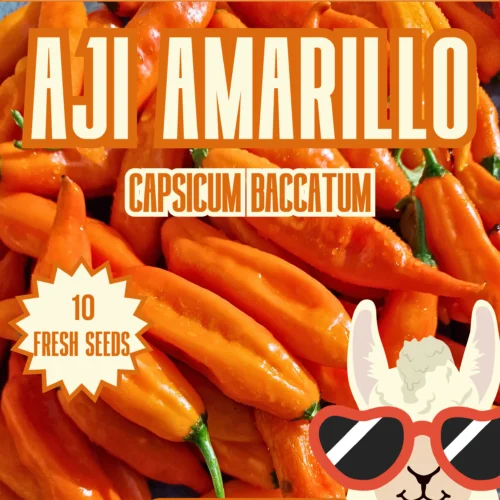 Aji Amarillo Chilli Seeds