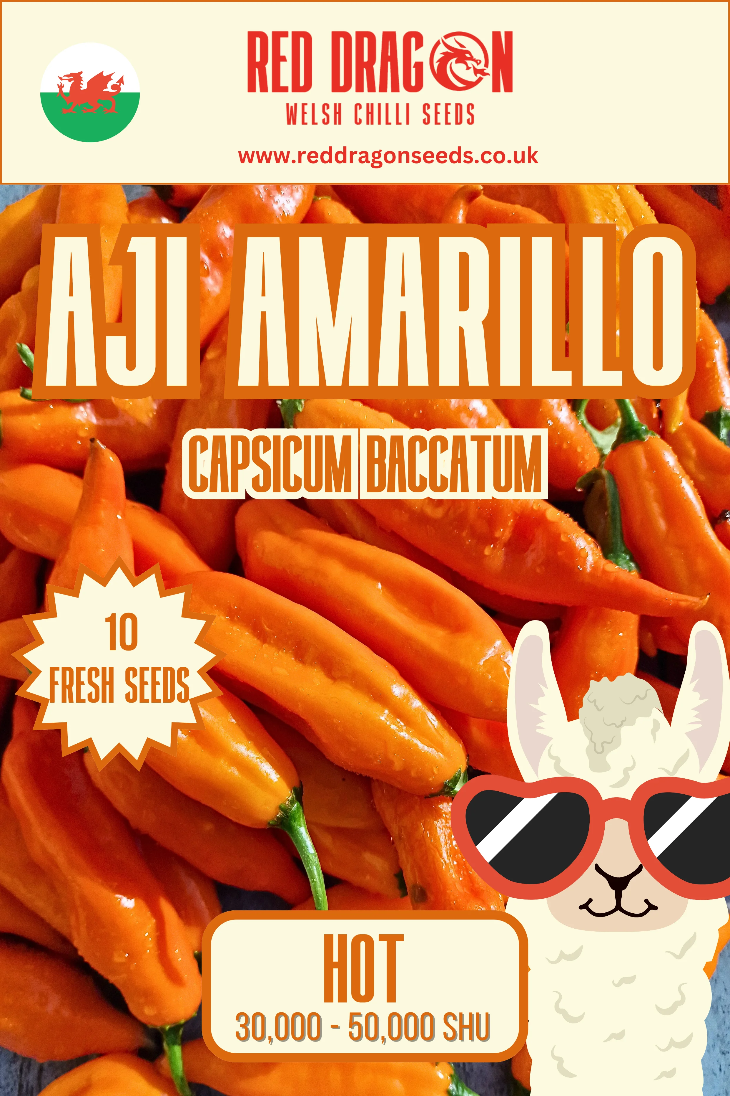 Aji Amarillo Chilli Seeds