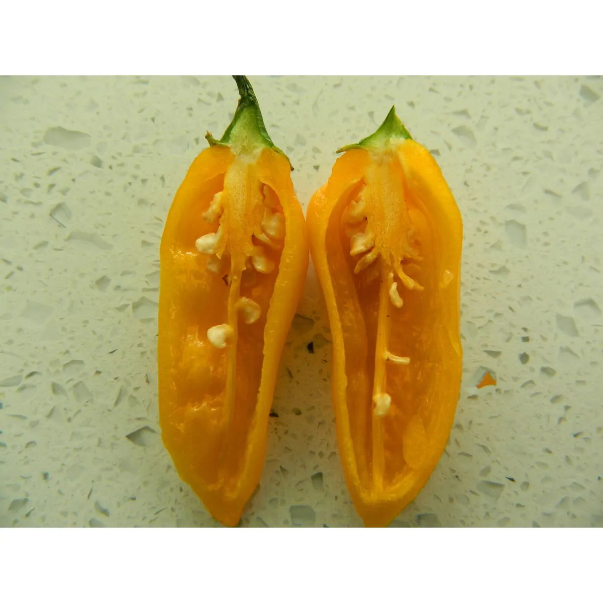 Bonda Ma Jacques Chilli Seeds - Image 4