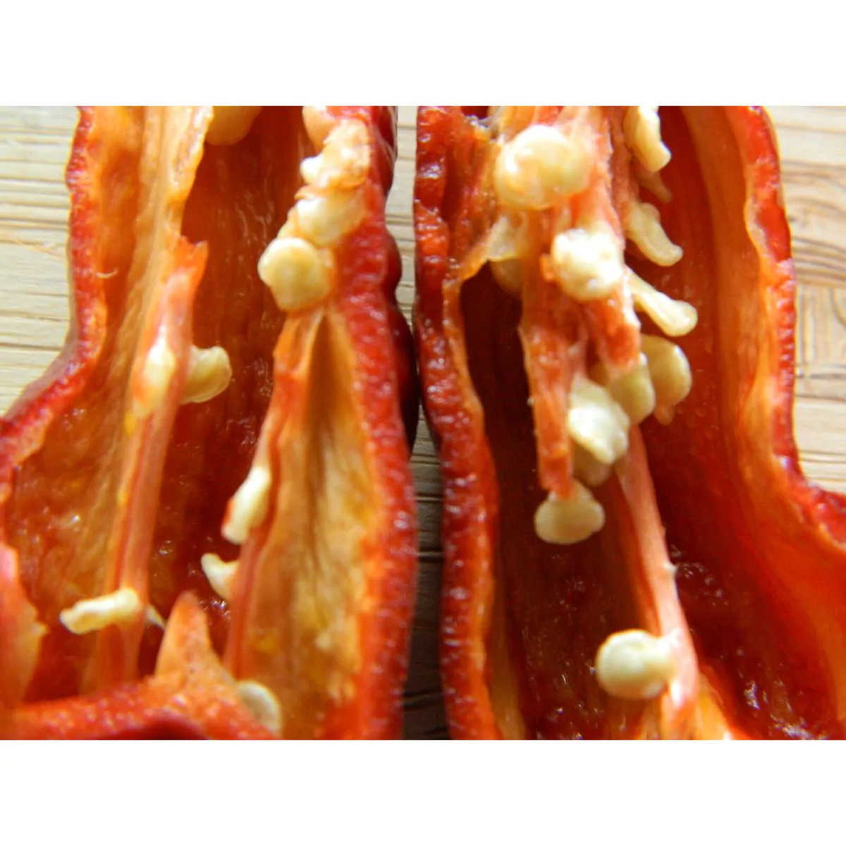 Chocolate Fatalii Chilli Seeds - Image 7