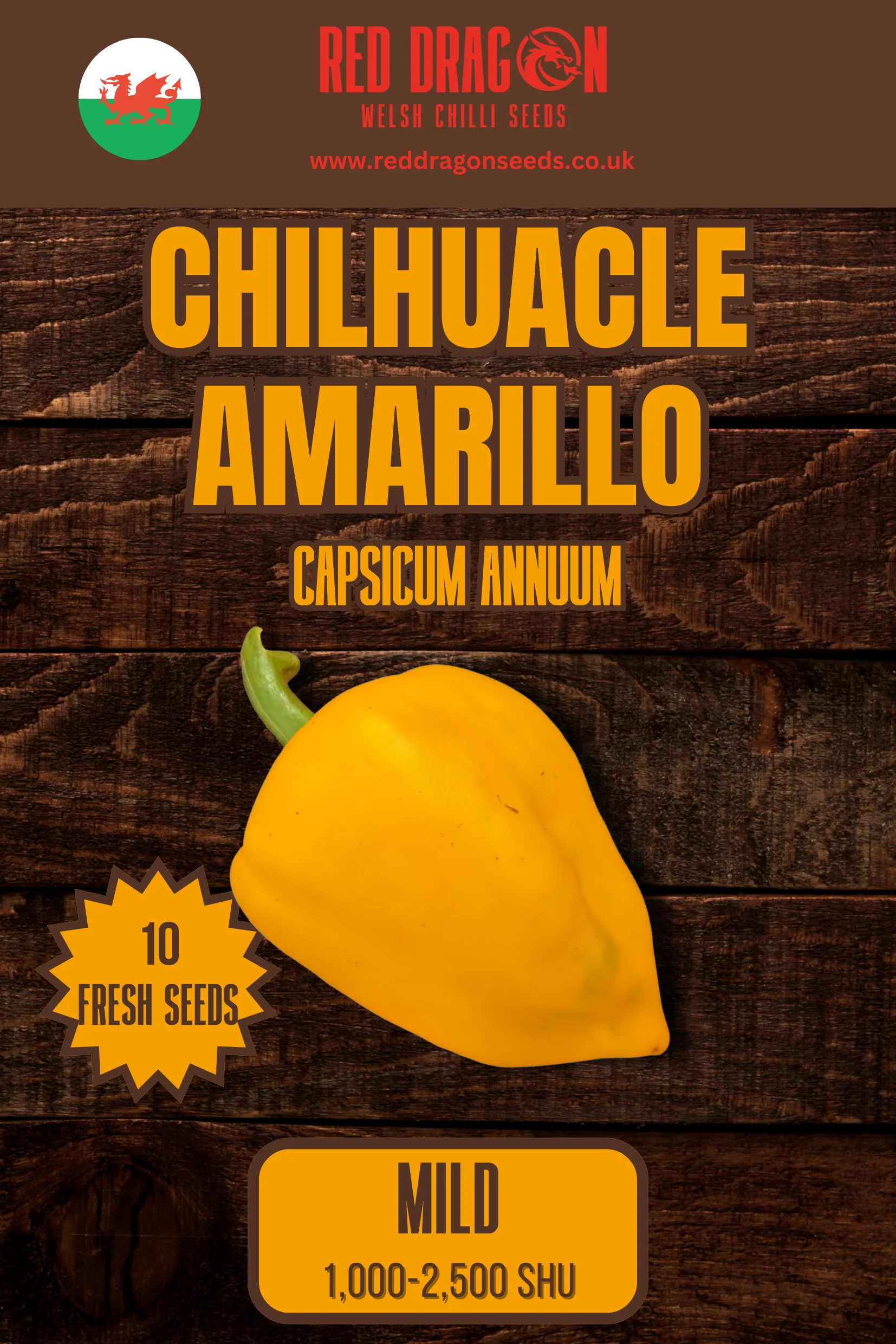 Chilhuacle Amarillo Chilli Seeds