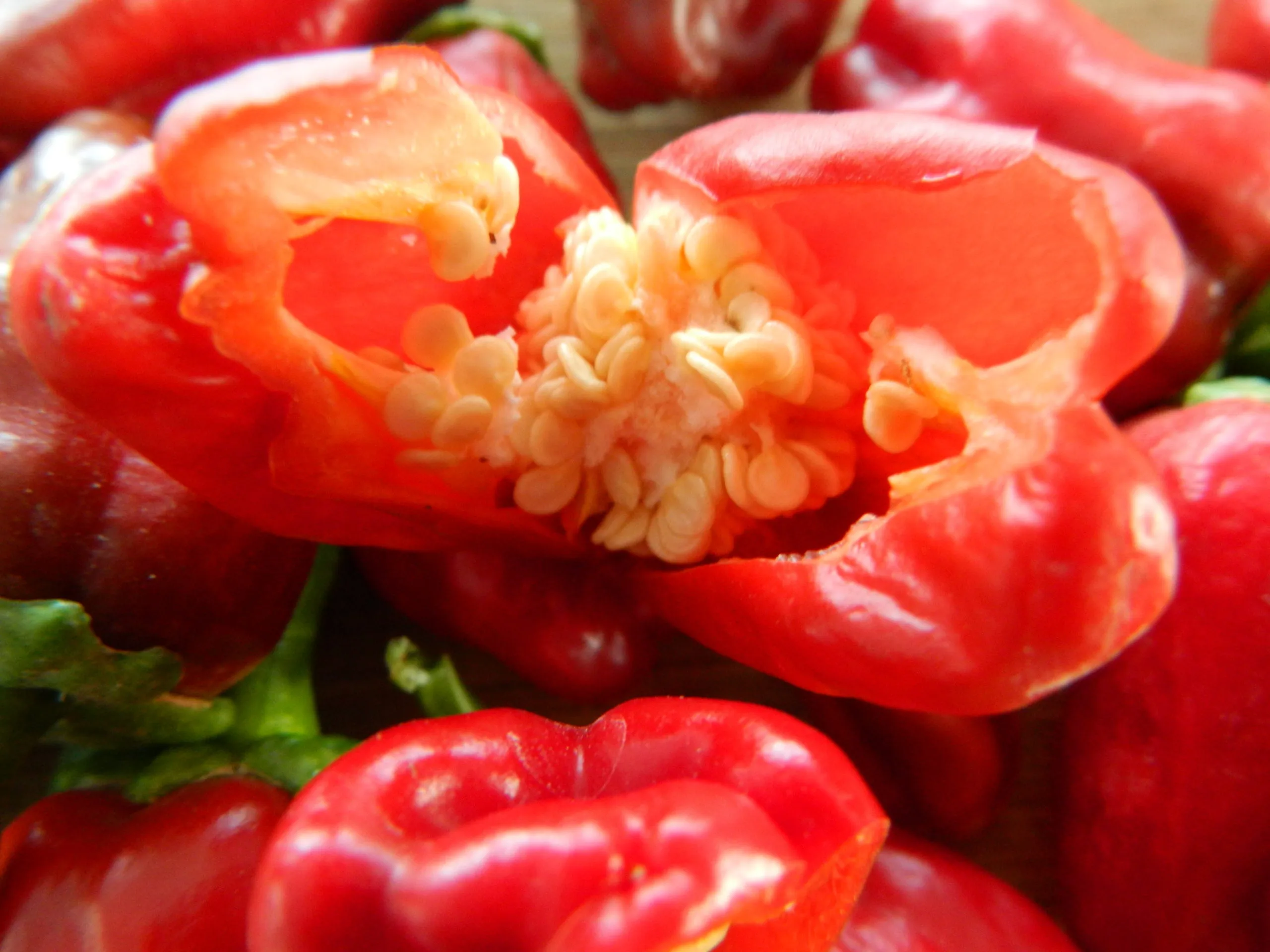 Big Jamaican Chilli Seeds - Image 3