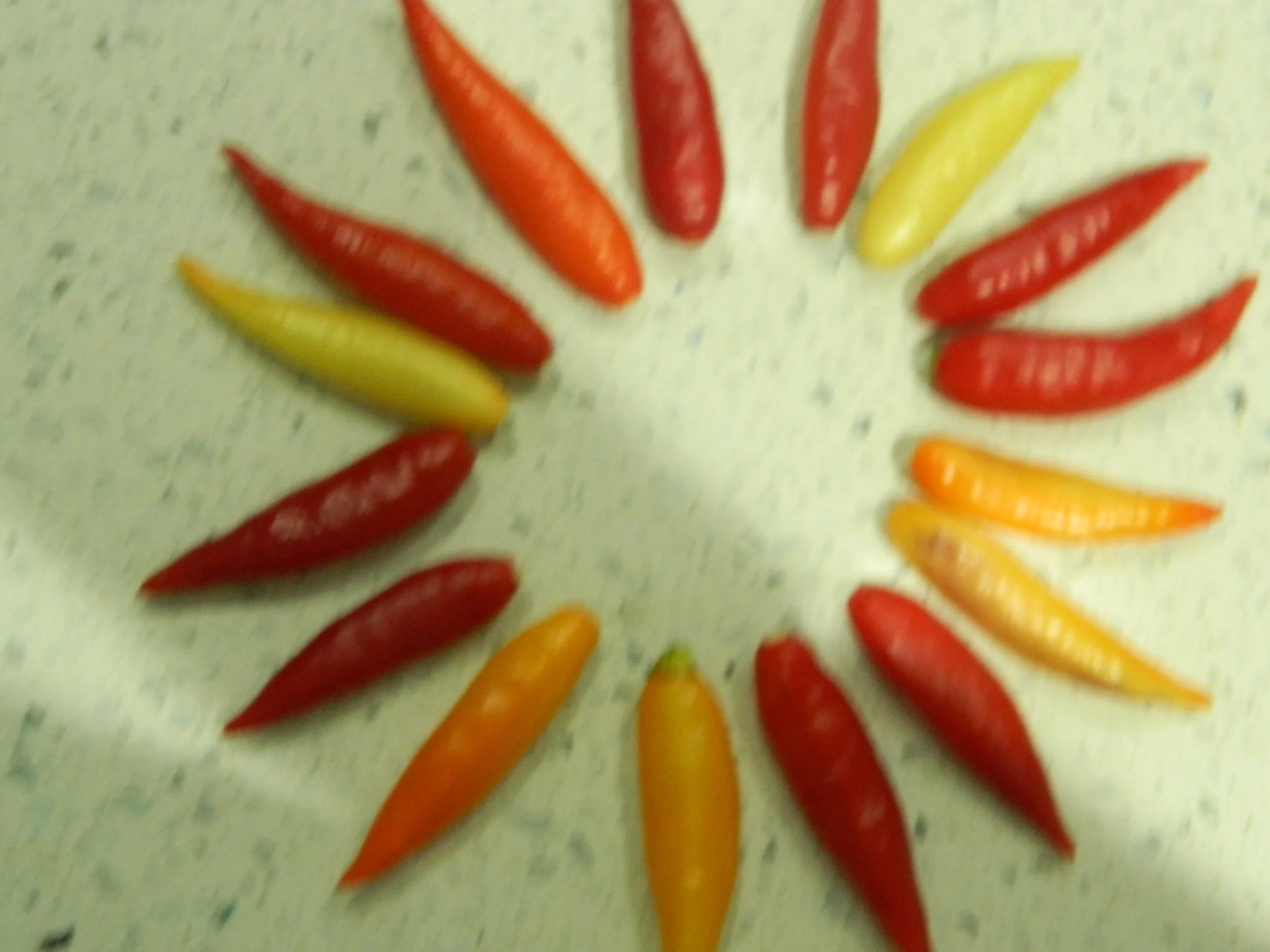 Aji Omnicolor - Image 7