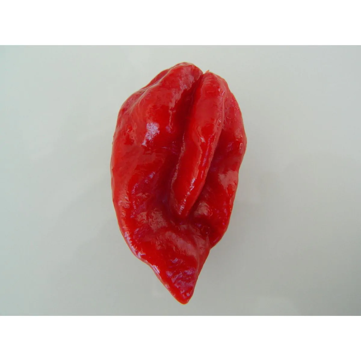 Devils Tongue Chilli Seeds - Rare Red Variety - Image 2