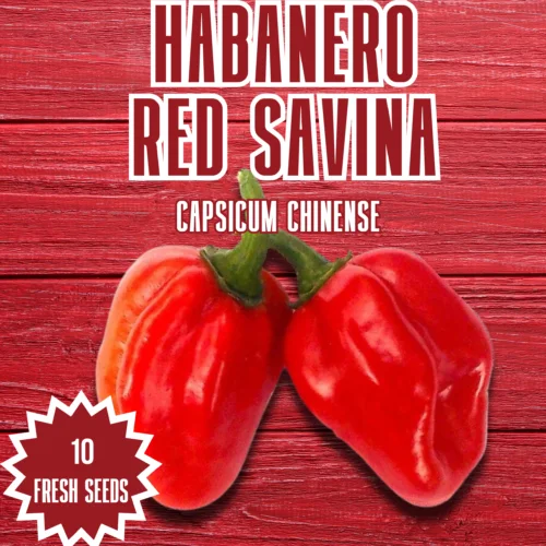 Habanero Red Savina