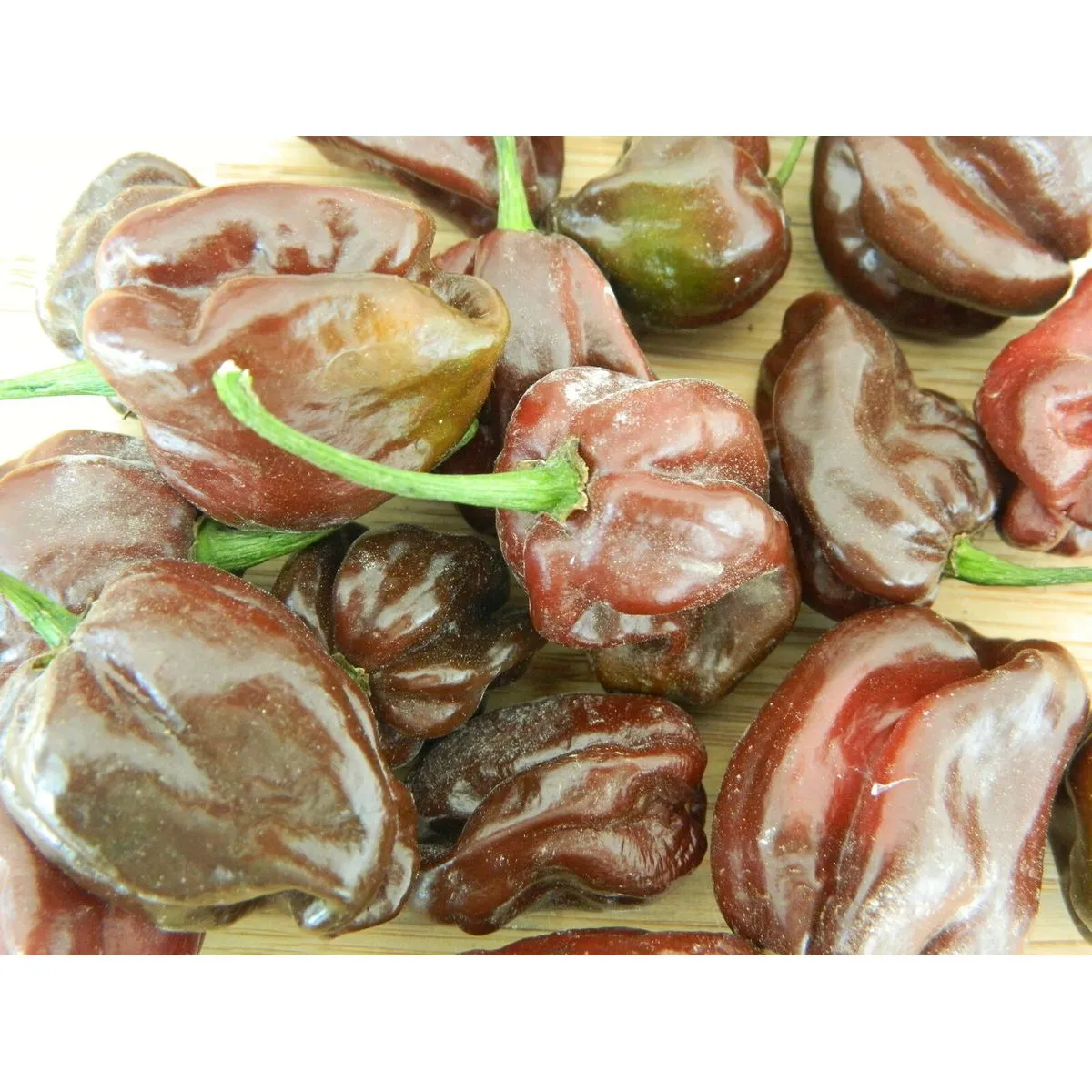 Chocolate Habanero - Image 7