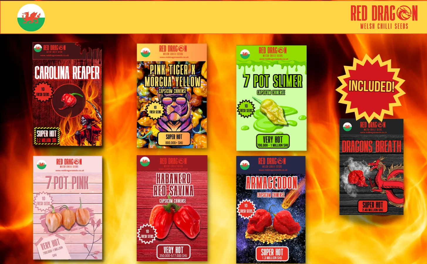 Super Hot Chilli Seed Variety Pack - Image 2