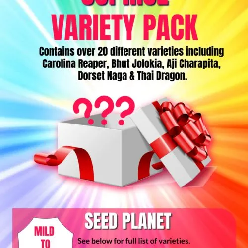 Free Chilli Seeds