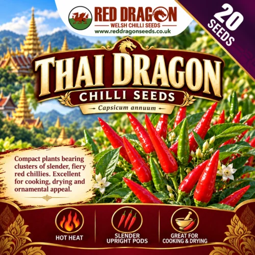 Thai Dragon Chilli Seed Packet