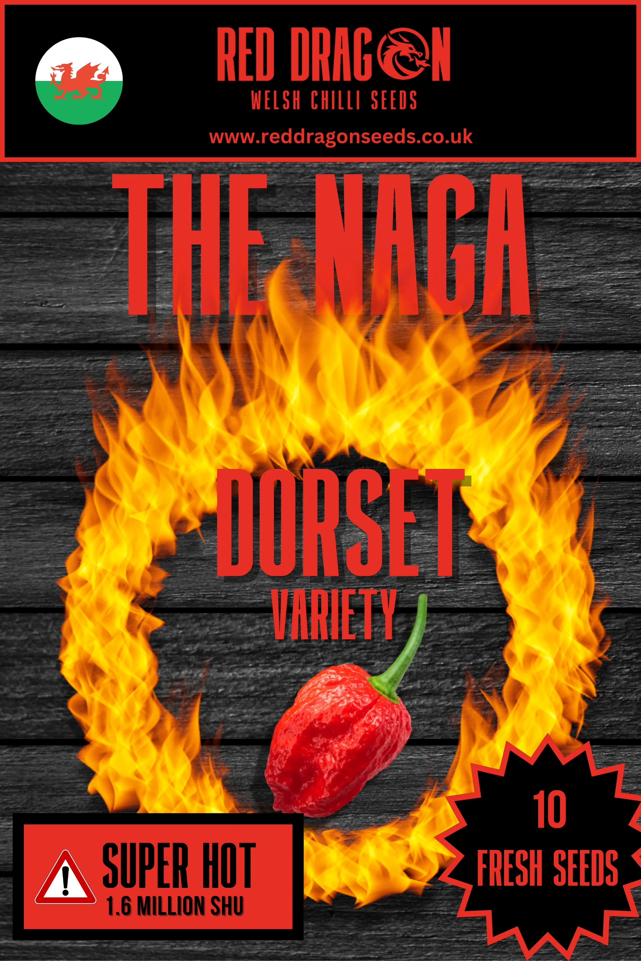The Naga (Dorset Variety) Chilli Seeds - Image 6