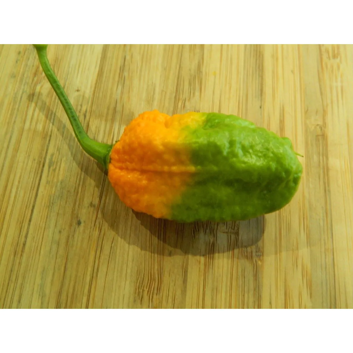 Trinidad Scorpion Yellow - Image 5