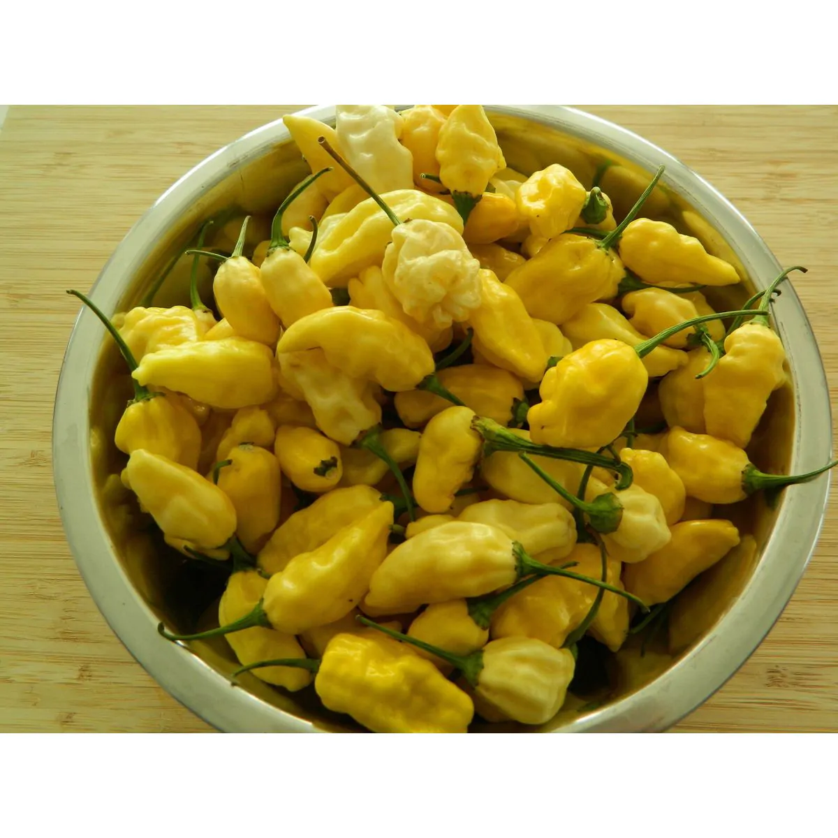 Naga White Chilli Seeds - Image 2
