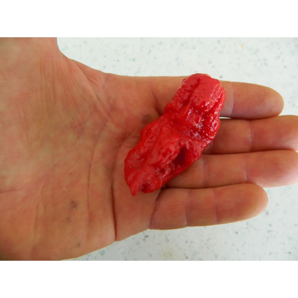 Ecuadorian Devil's Breath Chilli Seeds - Image 9