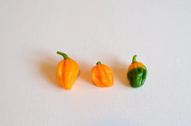Numex Sauve Orange Chilli Seeds - Image 5