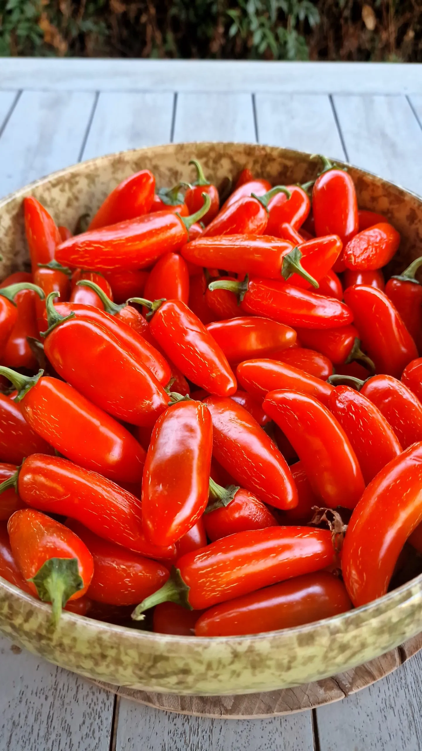 Orange Jalapeno - Image 2