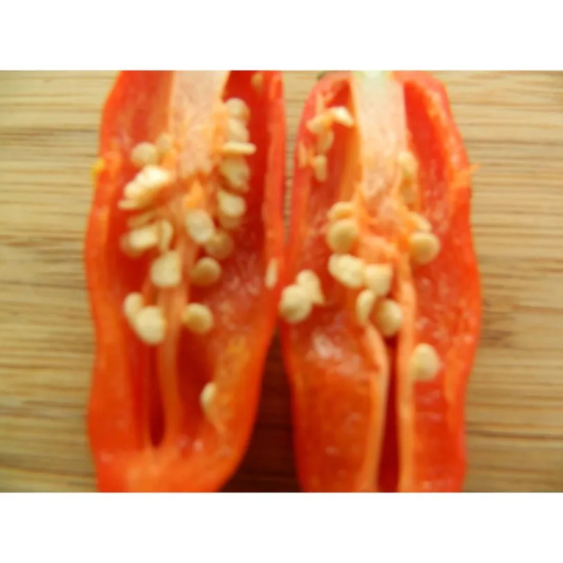 Aji Norteno - Image 4