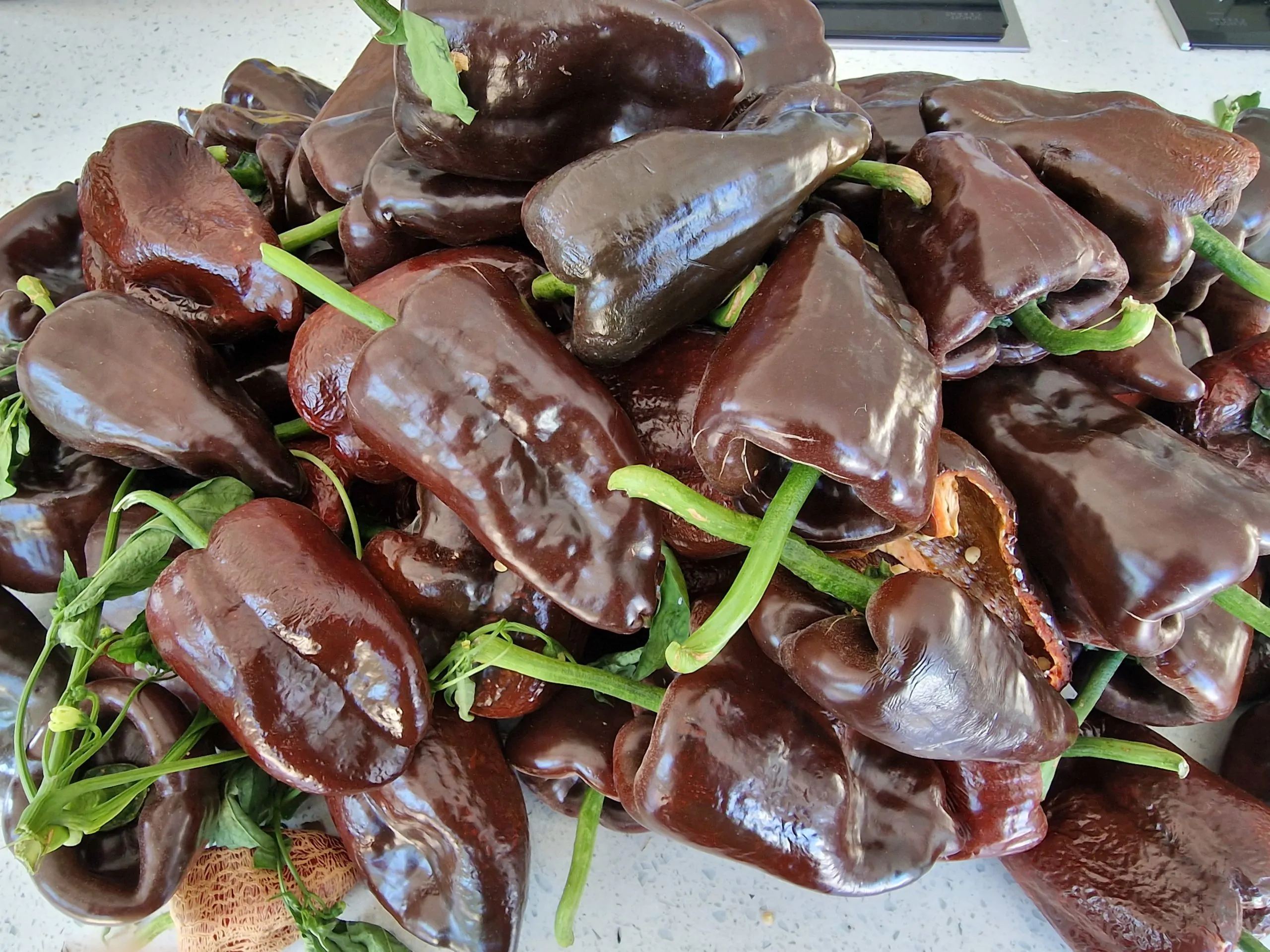 Ancho Poblano - Image 4