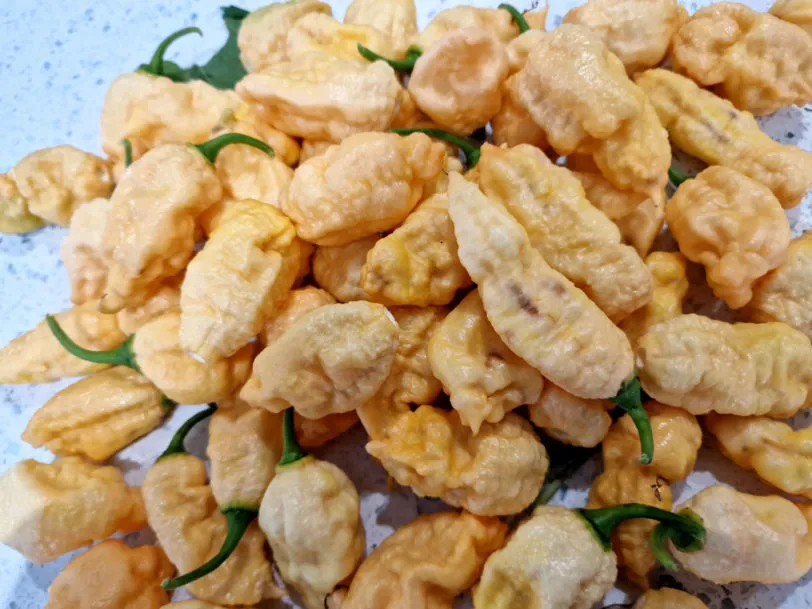 Bengal Naga Peach Chilli Seeds - Image 5